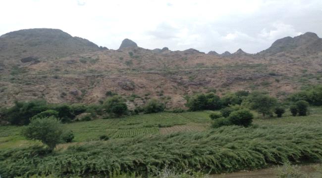 58a71c47 A6a2 4cc1 B418 Fae22879a85c