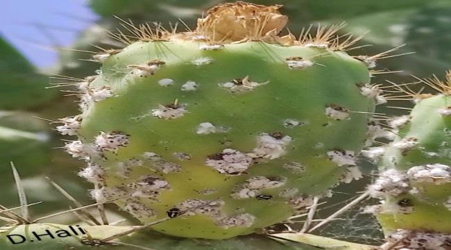 0206f36d 3969 4594 B636 9c188e078723