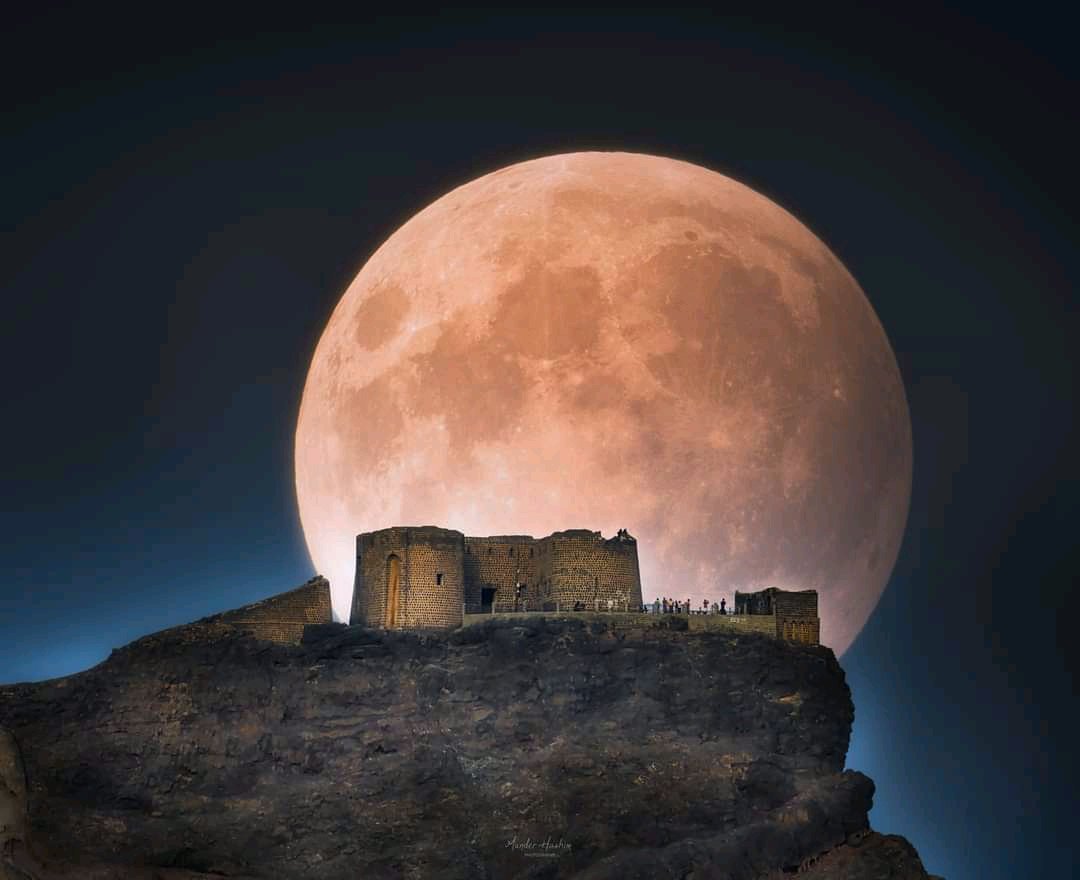 ٢٠٢٣٠٨٠٣ ١٣٢٠٥٥