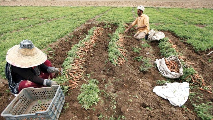 Image 750x 652d6e8779a6c