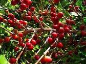Img 20231116 Wa0594