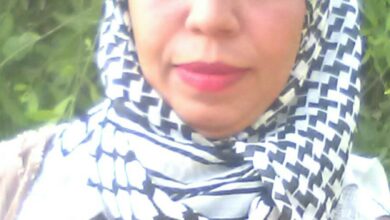 Img 20231119 Wa0003