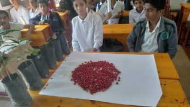 Img 20231125 Wa0148