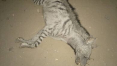 Img 20231220 Wa0003