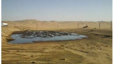 التلوث النفطي 2