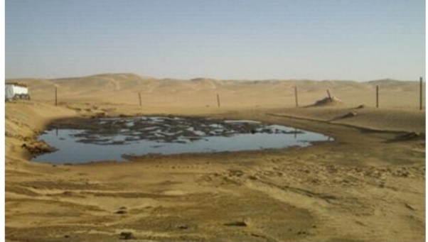 التلوث النفطي 2
