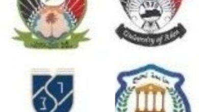 جامعات جنوبية
