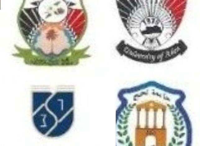 جامعات جنوبية