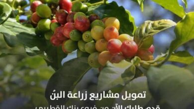 Img 20240127 Wa0033