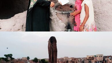 Img ٢٠٢٣٠٧٣١ ٢٠٣٦٢١