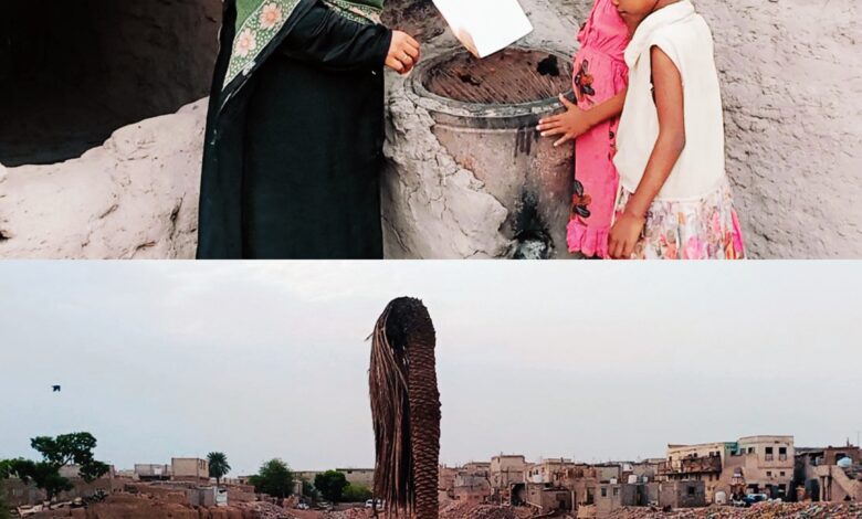 Img ٢٠٢٣٠٧٣١ ٢٠٣٦٢١