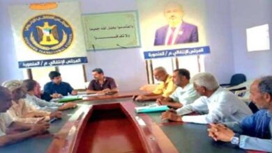 المنصورة الانتقالي