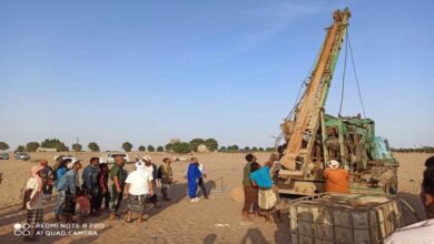 22 19 56 43c337ef F218 4e65 Ae01 A865a3997240