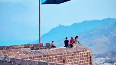 علم الجنوب وصيرة