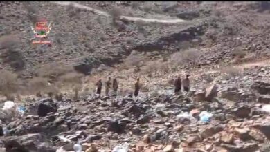 F8e8e0e2 49a7 49d5 93ac Dc7b0f4d68b3