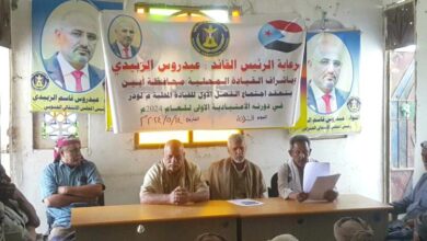 03818a82 7f89 4ff4 8060 44f0204d0715