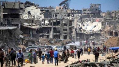 1b56f92e A3f0 4591 B67b C4154f04b6d7