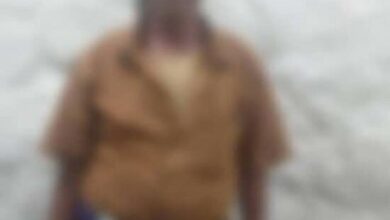 664236825d682 550x470