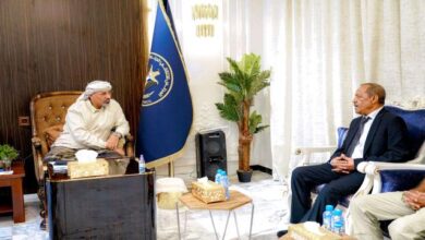 9825cd79 67a9 426e 8244 Ca1fae0ab9eb