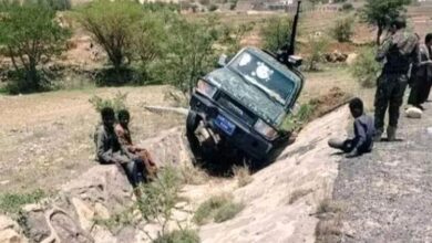 Ae568c8f 462e 48e8 B597 Bd912cc6459f