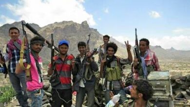 D7f480e7 0082 4f5f 847a 28e9562be5bf