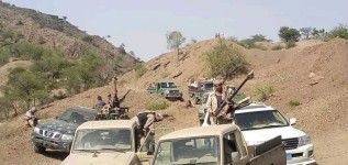 1716122912847 1 1024x768 317x150