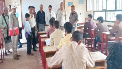 729e2173 35bc 4d15 A8a8 4cd8d55b5597