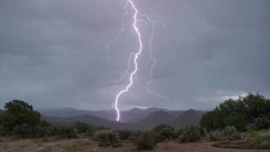 96e0230e A0c8 4ea4 Ade8 C805a75087ad