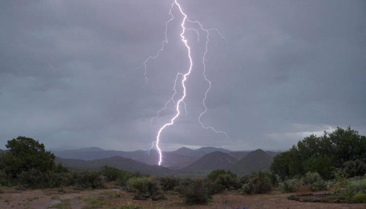 96e0230e A0c8 4ea4 Ade8 C805a75087ad