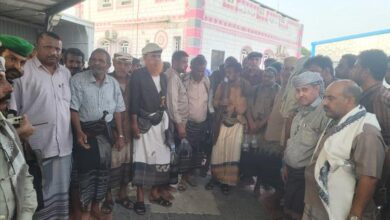 9d3461c5 3493 4b87 A3ad 00eef426fbbf