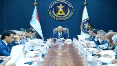 E248fc36 93fa 47f8 8bbc Eda9260fc2ef