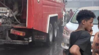 E7ac0b94 01e2 4b35 B32a 23f5addac2d8