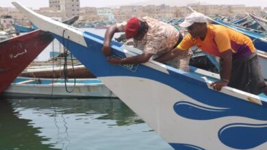 02085653 25dc 4b94 9961 B5c54e802e2f