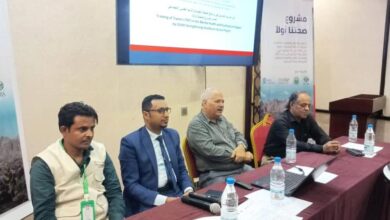 98feb0c0 E03b 4fce Be04 Ae49df864cee