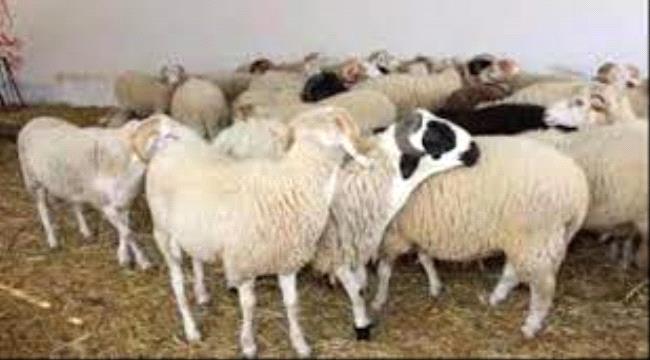 A0237f24 0f1f 4aea 833e Fdc93430b560