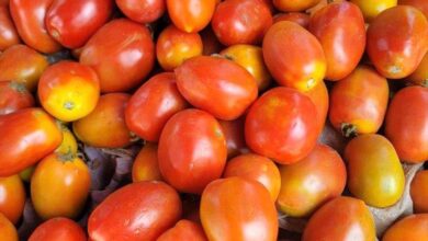 Fb Img 1729953979896