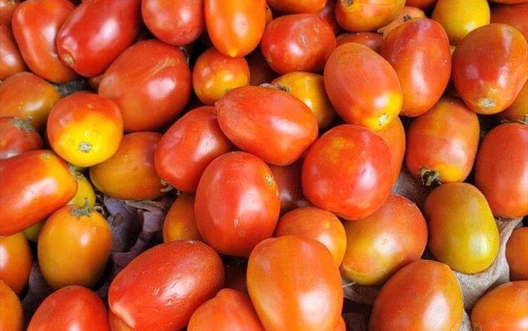 Fb Img 1729953979896