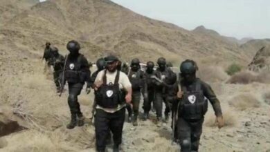 674ba87edac39 780x470