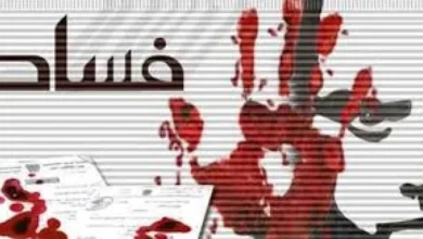 13 16 05 Image 750x 677b902388ae3