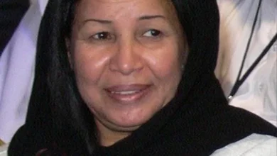 Cbcbf02d 98ce 4e75 A375 9e255ef1278a