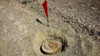 0b1db33c 7b39 4318 Bfa2 6705ca28ad90