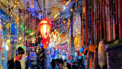 102fdd55 7a7b 4fd6 8ac9 D0e48fad6e13