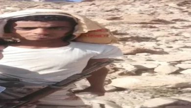 4ff23611 5013 4676 93bb 89896dc3f7d3