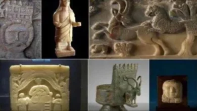 8eebffe9 2b34 42dc 84ca 7a90baf113a4