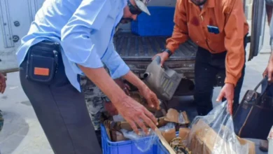 Img 20250216 Wa0024 780x470