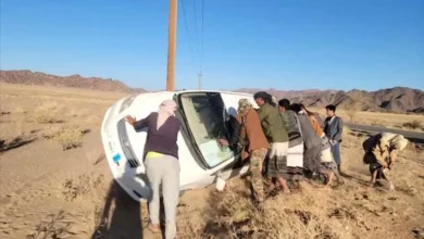 C32f1825 771a 4698 Af79 43c8201a11b0