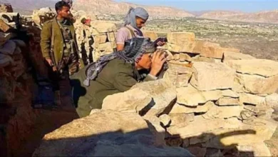 D12ae209 F92a 4a3c 92db 07a6fedc0868