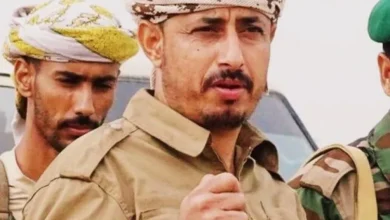 Image 750x 67ae40314600c