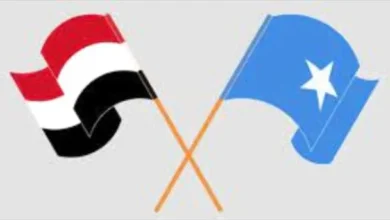 226da637 Fdf4 4c6d A89d D691492be222