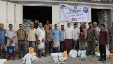 484561854 1423511455298958 839437762873428122 N